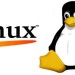 La sconfitta di Linux