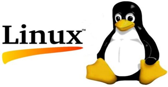 La sconfitta di Linux