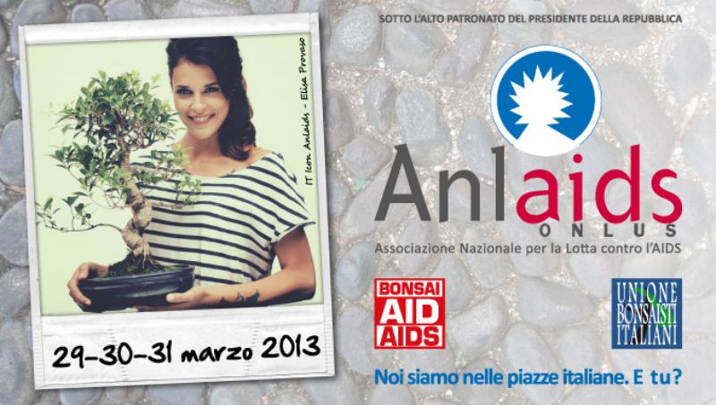 Bonsai Aid Aids 2013 a San Giovanni Incarico