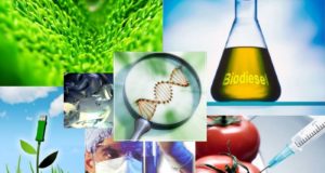 Biotecnologie : cosa sono? A cosa servono?